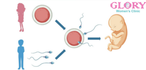 Glory Women's Clinic| infertility & IUI treatment in Ravet, Walhekarwadi, Punawale, tathawade, Pune